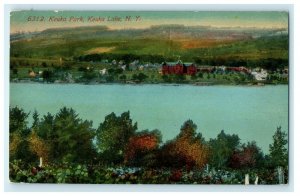 1914 Keuka Park, N.Y. Houses, Buildings and Trees View in Keuka Lake Postcard 