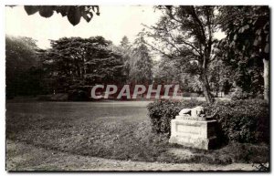 Old Postcard Montmorency Park and Cedar of Lebanon