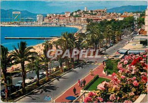 Postcard Modern French Riviera French Riviera Cannes (Alpes Mrs) The Promenad...