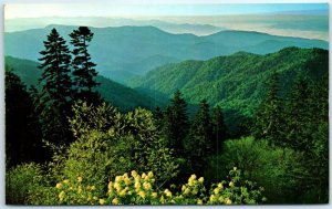 Looking Down in the North Carolina - Great Smoky Mountains National Park