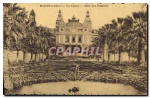 Old Postcard Monte Carlo Casino Allee des Palmiers