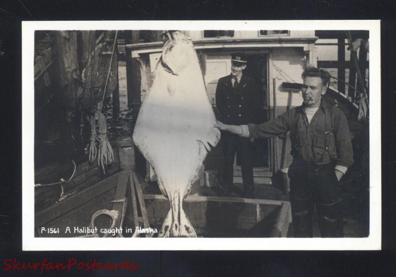 RPPC HALIBUT FISHING ALASKA FISH CATCH VINTAGE REAL PHOTO POSTCARD