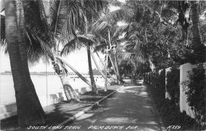 Cook #K259 South Lake Trail Palm Beach Florida Postcard 21-4303