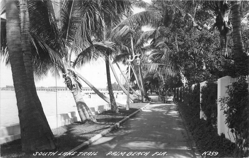 Cook #K259 South Lake Trail Palm Beach Florida Postcard 21-4303