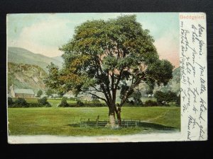 Wales BEDDGELERT Gelert's Grave c1903 UB Postcard by Peacock Series