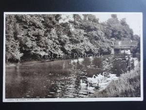 Kent: Feeding Swans on the Hythe Canal - Old Postcard