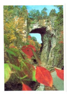 Fall Foliage, Natural Bridge, Lee Highway, Virginia