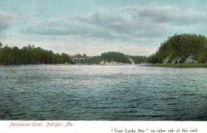 Penobscot River BANGOR Maine Metropolitan News Pub. Vintage Postcard c1910