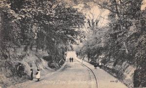 BR78465 chantry lane bexhill on sea    uk