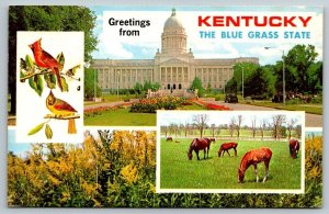 1975  Kentucky   Postcard