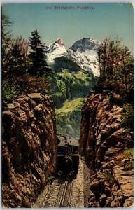 Brunigbahn Passhohe Railroad Company Interlaken Switzerland Postcard