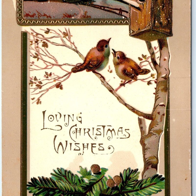 c1910s Brilliant Gel Loving Christmas Wishes Postcard Cute Birdhouse Birds A145