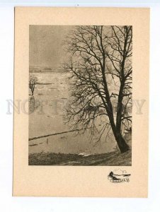 252208 LATVIA USSR DAUGAVA flood near Skriveri postcard