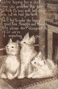 CAT POEM INVITATION PETOSKEY MICHIGAN COMIC POSTCARD 1909
