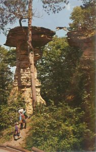 Wisconsin Dells WI Stand Rock, Leaping Dog Chrome Postcard Unused