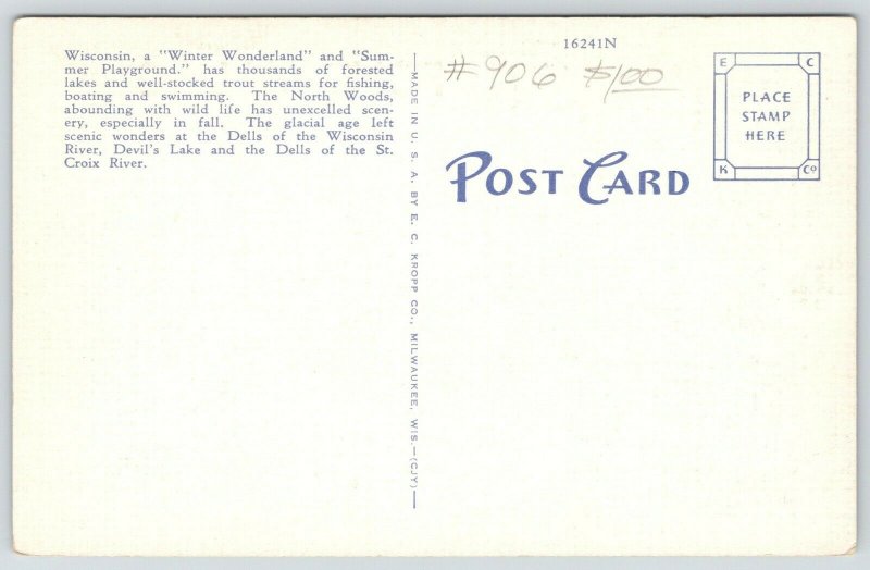 Fond du Lac Wisconsin~State Large Letter Linen Postcard~Diary Farm~Fish Stringer 