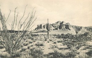 Postcard Arizona Phoenix Globe Superstition Mountain Highway Albertype 23-3651