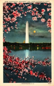 Washington D C Washington Monument and Cherry Blossoms By Night