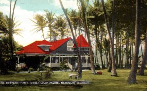 Hawaiian Islands - Cottage Home under Cocoa Palms - c1901