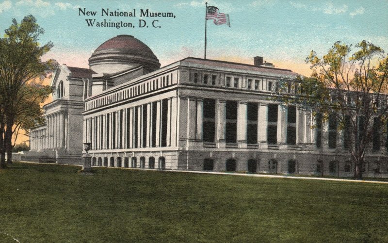Vintage Postcard 1910's National Museum Smithsonian Institution Washington DC