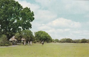 Georgia Retreat Plantation Sea Island Golf Course sk3865