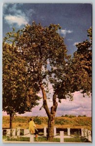 Union Oil Company - Scenes of The West - 76 Gasoline - Northwest Apple Industry