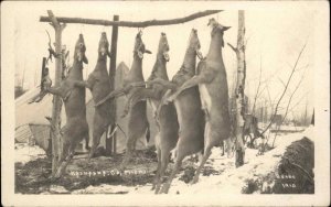 Hunting Dead Deer Kalkaska County MI Cancel BEEBE 1910 Real Photo Postcard