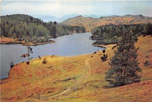 B86876 tarn hows near coniston and hawkshead  lancashire   uk