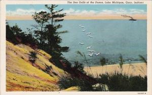 Indiana Gary The Sea Gulls Of The Dunes Lake Michigan