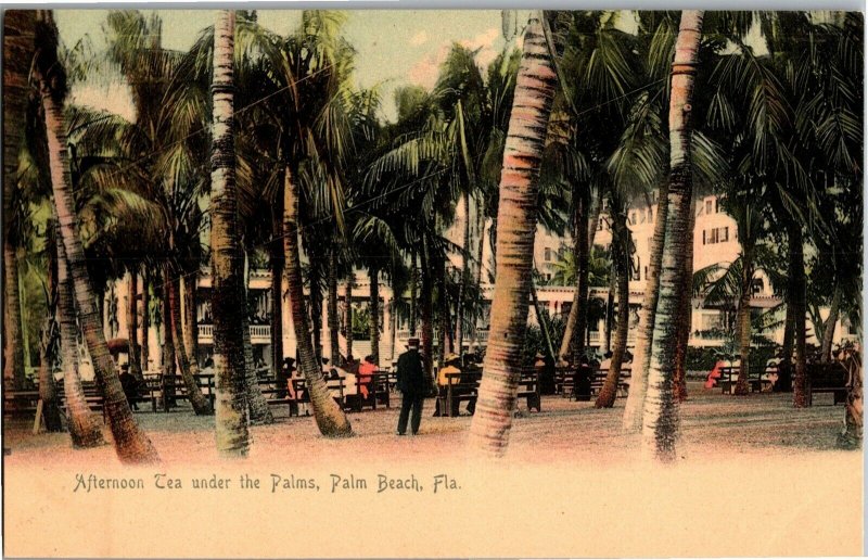 Afternoon Tea Under the Palms, Palm Beach FL Undivided Back Vintage Postcard V02