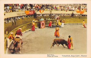 Bull Ring, Plaza de Toros Tarjeta Postal Bullfighting Unused 