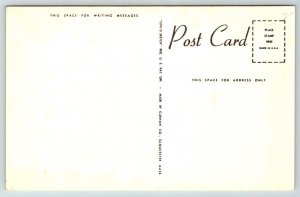 Cape Cod  Dock Boat Scene  Massachusetts   Postcard