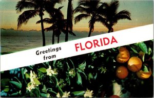 Florida Greetings Split View