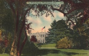 Vintage Postcard 1930's The White House Mansion U.S. Flag Washington D. C.