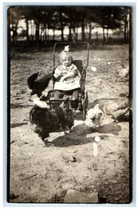 c1910's Cute Little Girl Stroller Chicken Hen Dirt Rock RPPC Photo Postcard