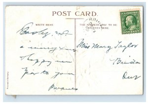 C.1910 Bird Snow Drops Ribbon Christmas Postcard F122E