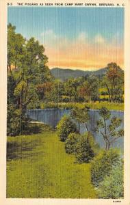 BREVARD, NC North Carolina   THE PISGAHS From Camp Mary Gwynn   c1940's Postcard