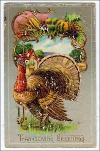 Greeting - Thanksgiving, Turkey    (chipped, cracked)
