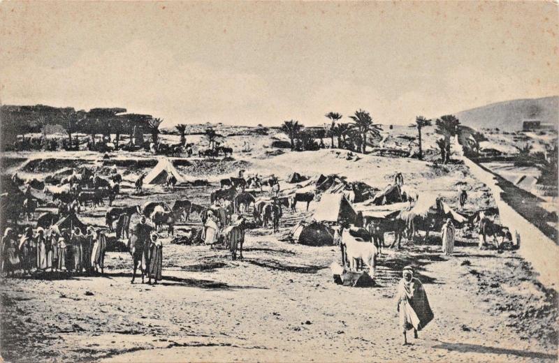 ARABS, HORSES & TENTS IN THE DESERT PHOTO POSTCARD