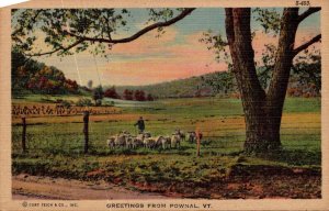 Vermont Greetings From Pownal Curteich