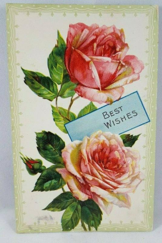 Best Wishes - pink carnations flower - posted St. Louis