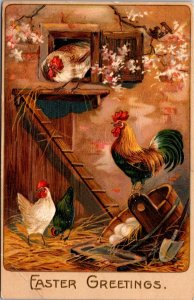 Easter Greetings, Rooster and Hens at Chicken Coop Embossed Postcard Y48
