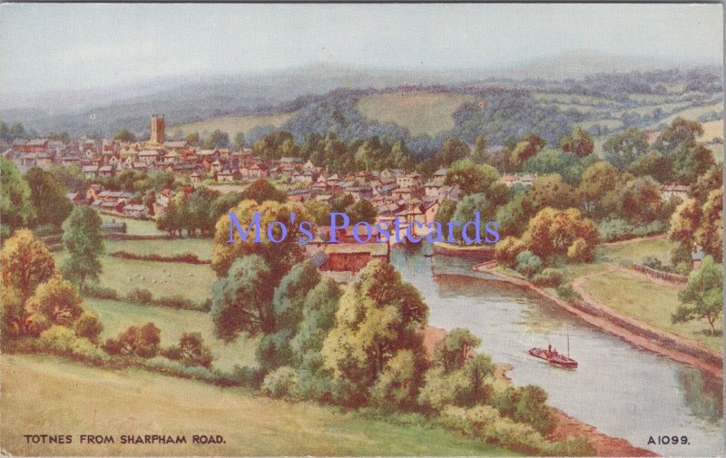 Devon Postcard - Totnes From Sharpham Road, Artist B.F.C.Parr   DC2235