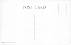 Gombey Dancers Bermuda Postcard