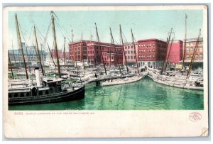 1908 Oyster Luggers Docks Boats Baltimore Maryland MD Vintage Antique Postcard 