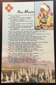 Postcard Unused New Mexico Indian,  Poem by Anna Stevenson LB