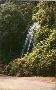 postcard Puerto Rico - Coca Falls at El Yunque
