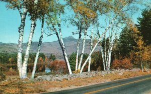 Postcard 1959 Mt. Chocorua And Lake Chocorua White Mountains New Hampshire NH