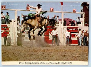 Calgary Alberta Canada Postcard Bronc Riding Calgary Stampede Vintage Posted