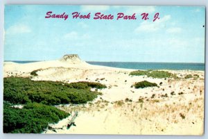 1960 Sandy Hook New Jersey NJ Vintage Postcard State Park Beautiful Sand Dunes